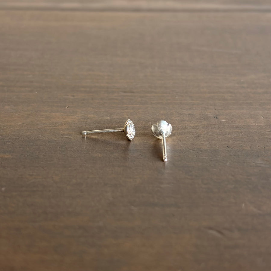 Little Silver Rose Garden Stud Earrings