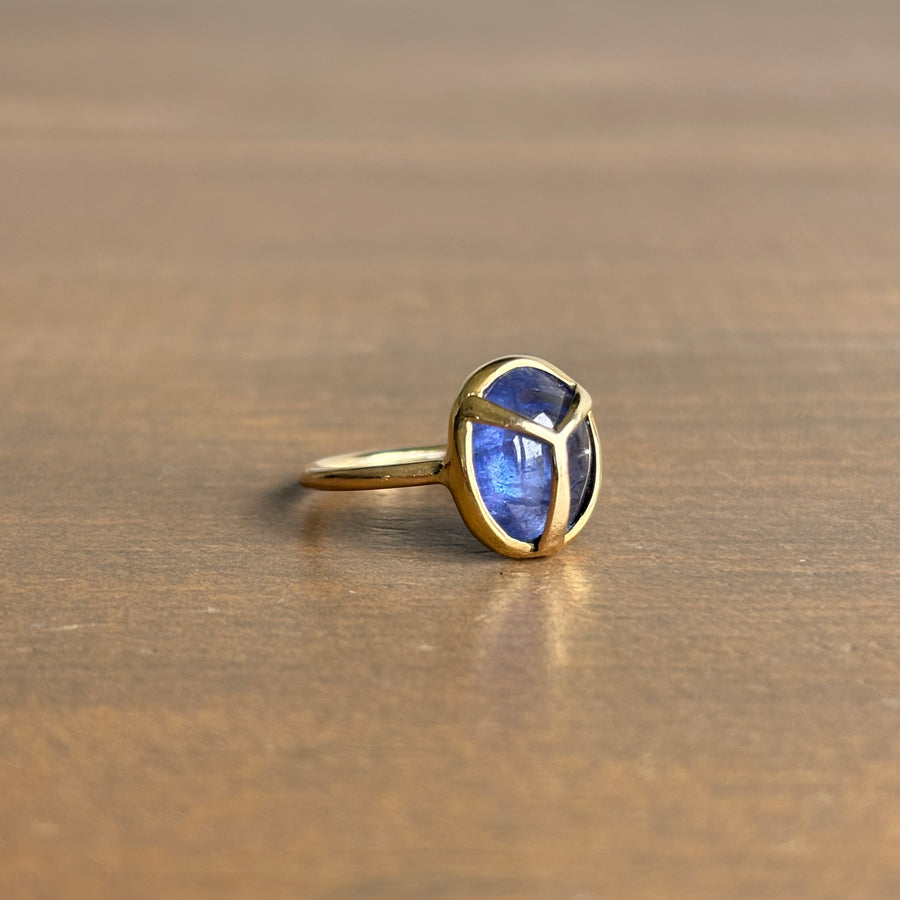 Tanzanite Lucky Scarab Ring