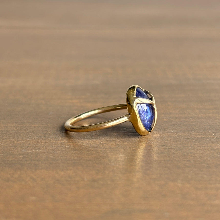 Tanzanite Lucky Scarab Ring