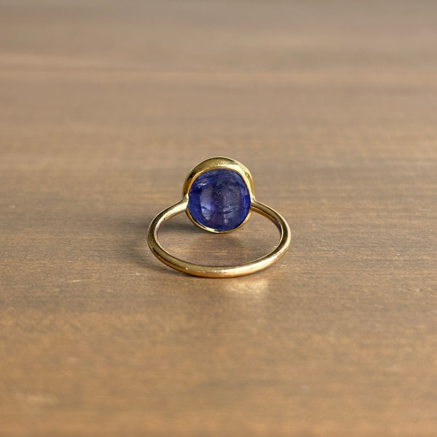 Tanzanite Lucky Scarab Ring