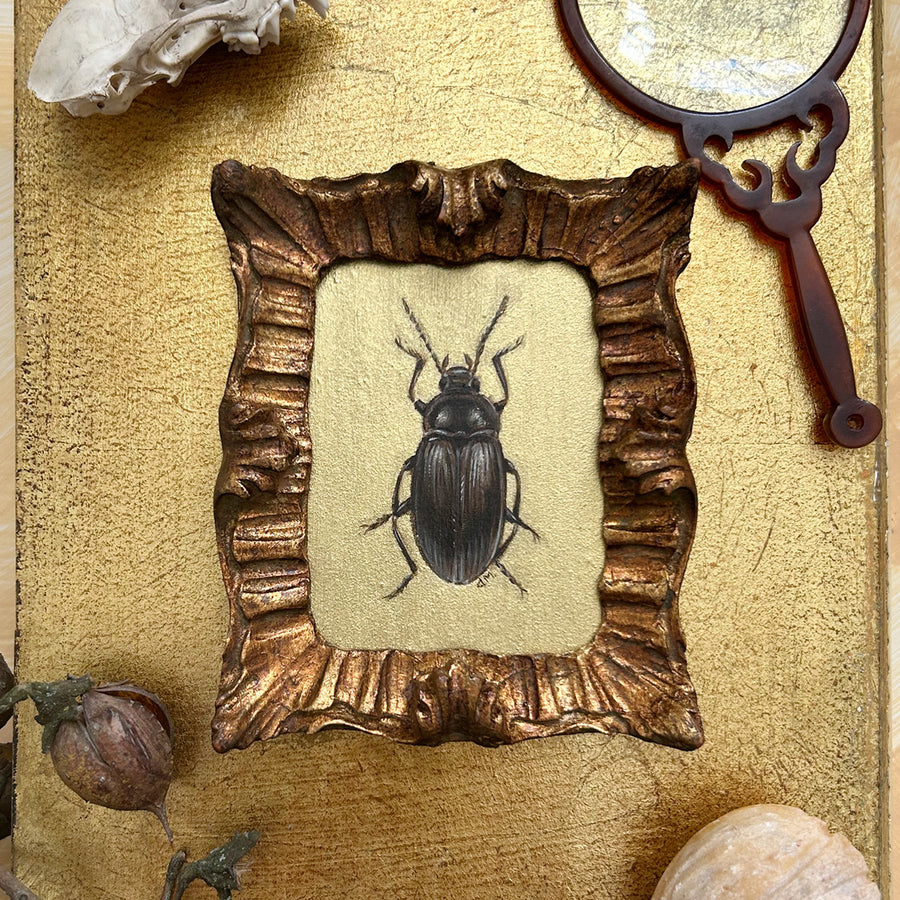 "Gold Bug 1"